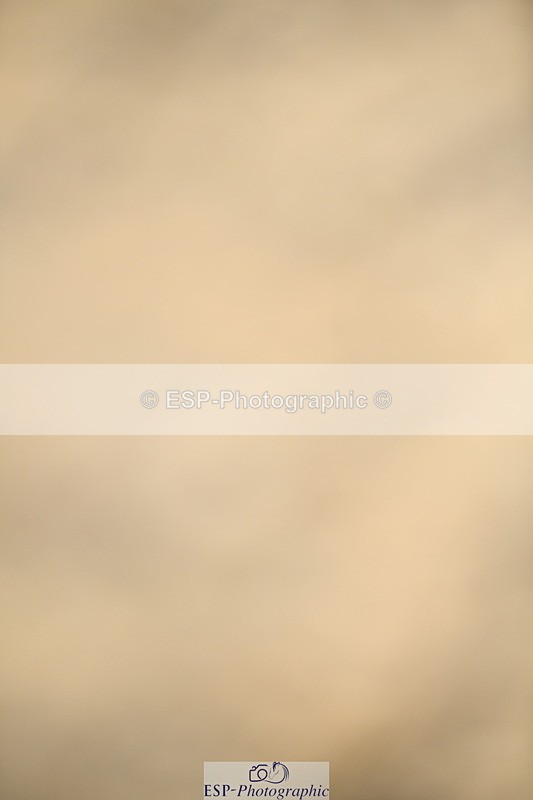 251004A-152045-01792 - Classes 8 & 9 70cm