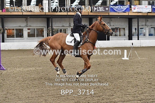 BPP_3714 - FRI CLASS 21 BR NOVICE/90CM