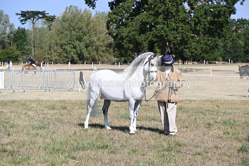 WJ6_4255 - Class 16 Condition & Turn Out