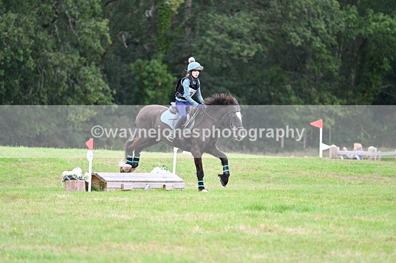WJ7_7686 - 40cm Time 10:49 to 11:18