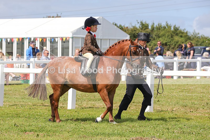 1X9A3830 - Plaited Mini Ridden Championship