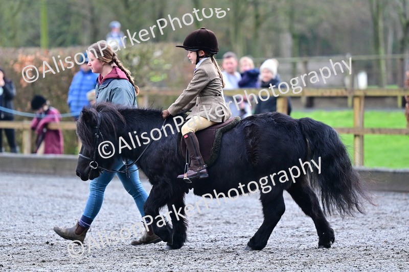 20260125-1004 - Class 9a - Walk Trot Assisted