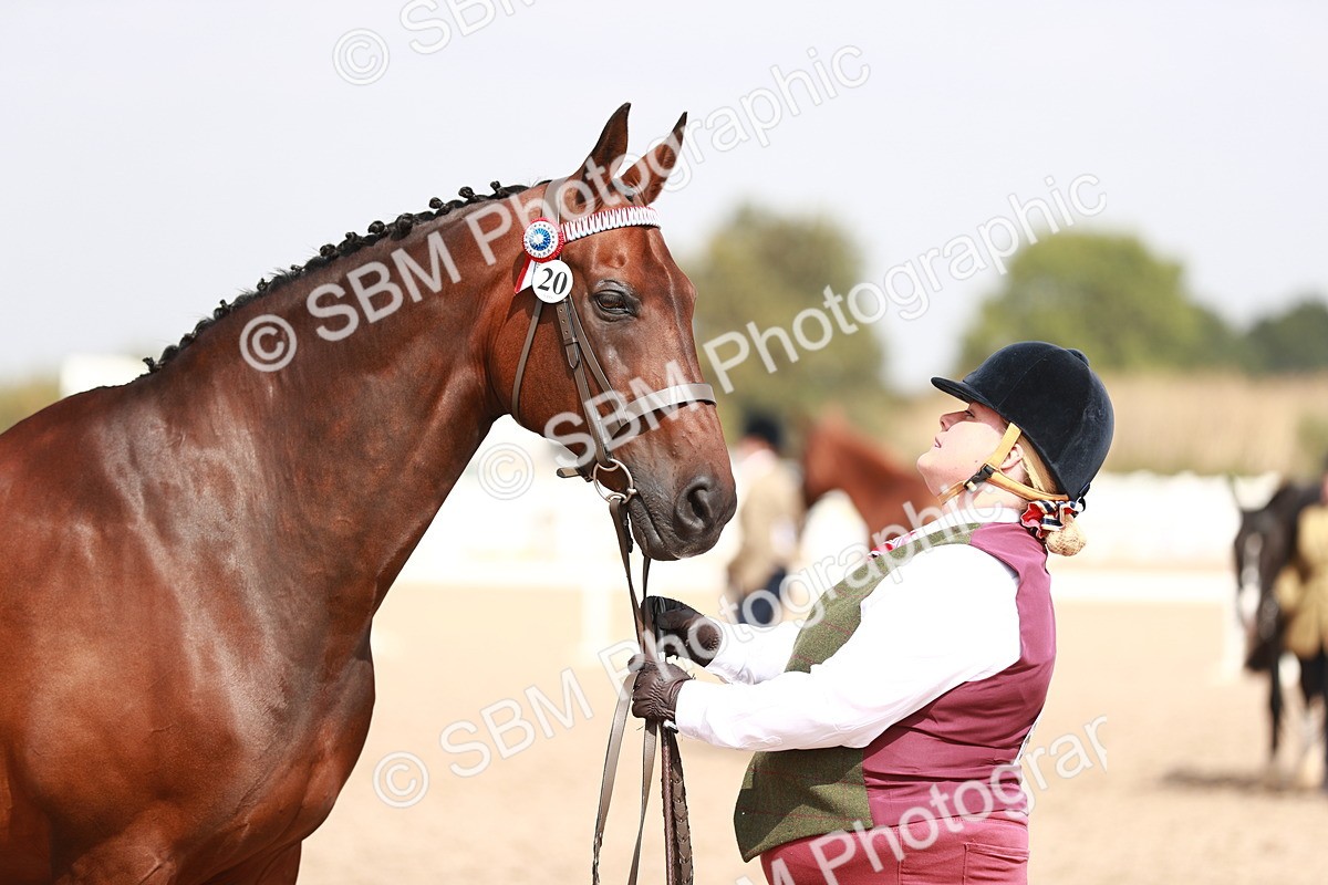 SBM_13229 - Class 208 IH Veteran Horse