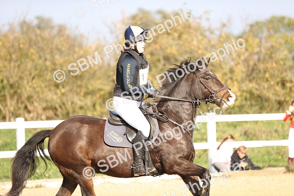 SBM_003705 - Class 3 - 90cm