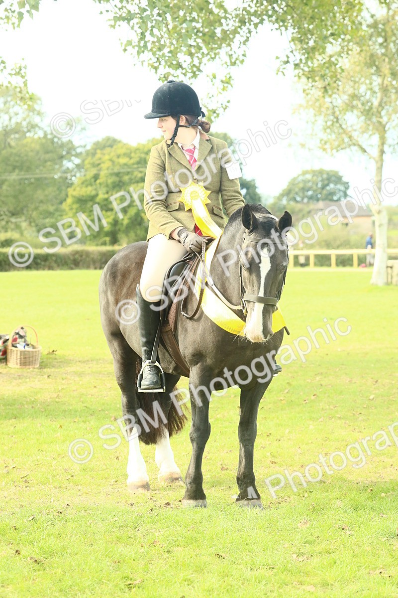 SBM_69399 - S58 - Mini Show Cob Ridden