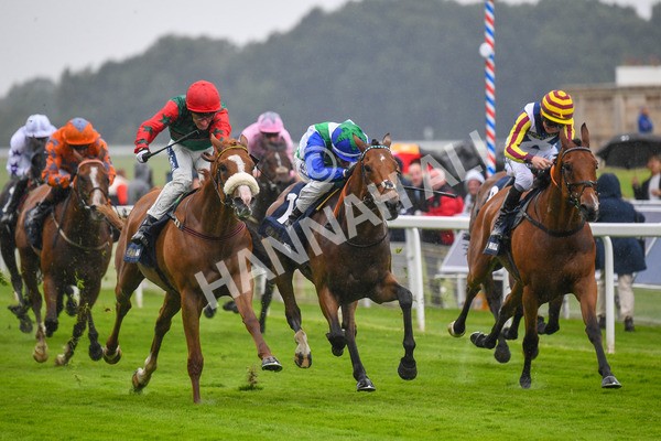 140723-Race 1-Northern Express-0042 - Race 1 2.05pm William Hill Epic Value Handicap