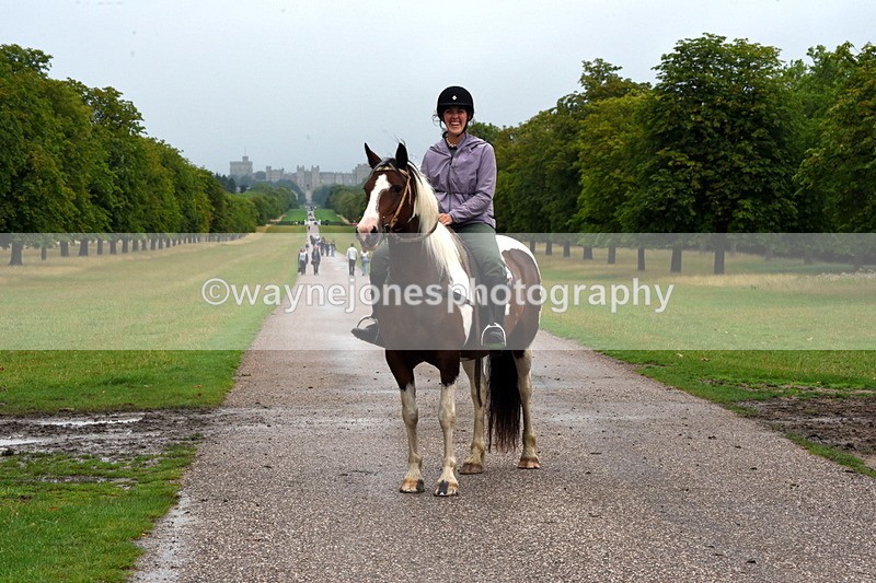 TT3_8802 - Time at Crossing 12:55 to 15:02