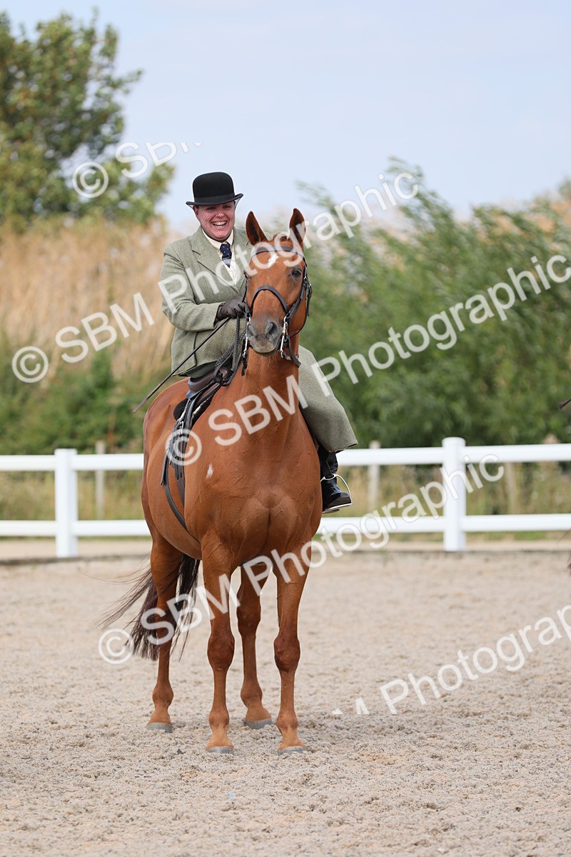 SBM_14593 - Class 211 Best Side Saddle Horse/Pony