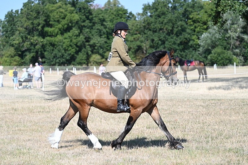 WJ7_3775 - Class 9 Mountain & Moorland Ridden