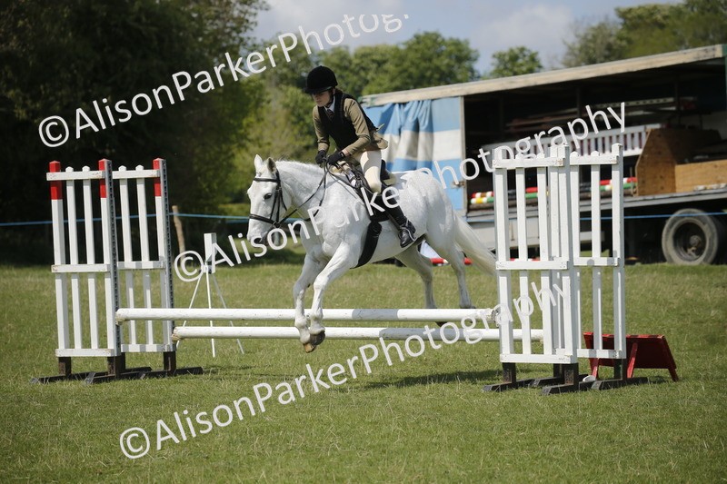 20250427-3636 - Class 14 - Absolute Novice 70cm