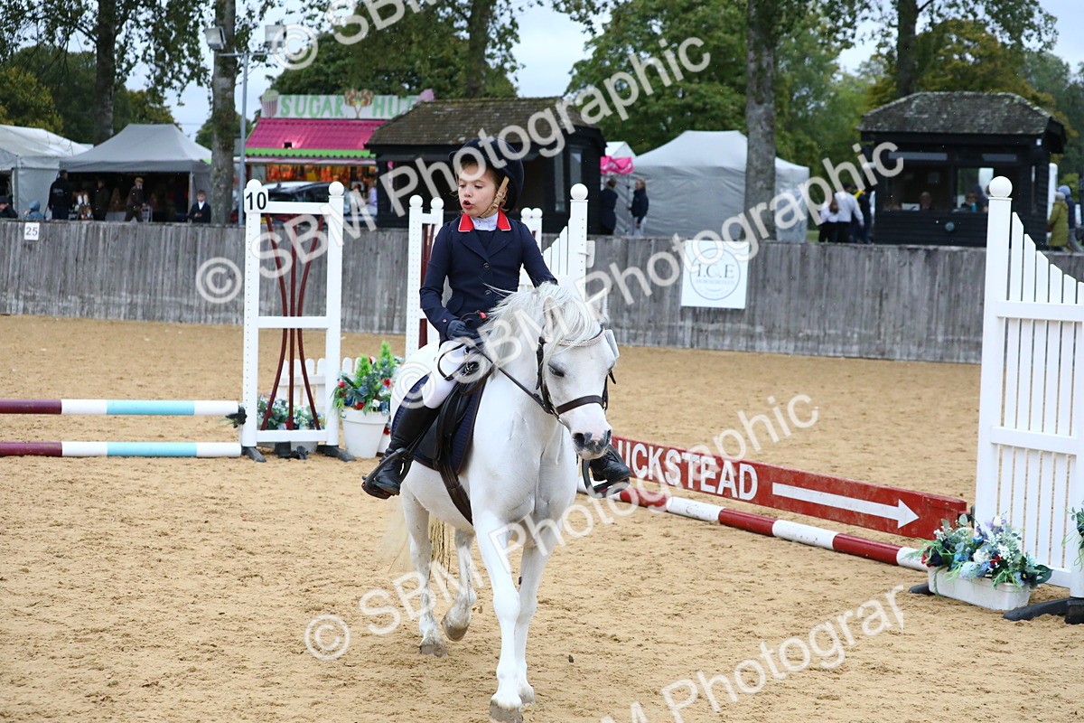 SBM_68388 - J3b - Mini Tour Junior Pony 40cm Championship
