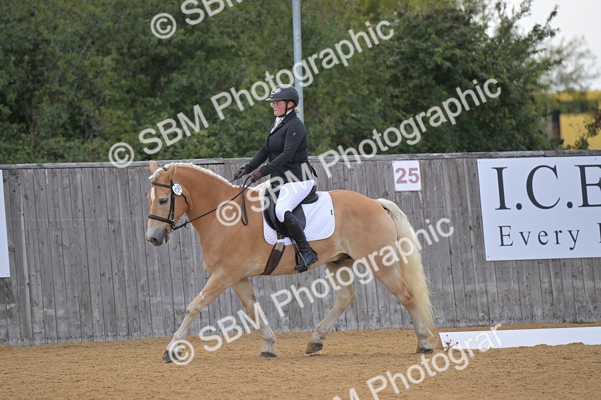 SBM_11154 - D3 - Small Tour Championship Intro 3