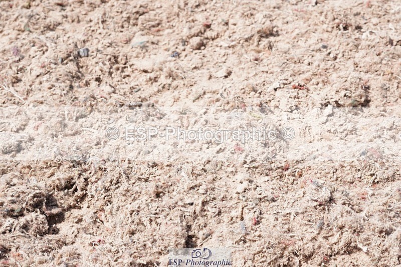 250503-124228-01111 - Cls 25 Club 1m