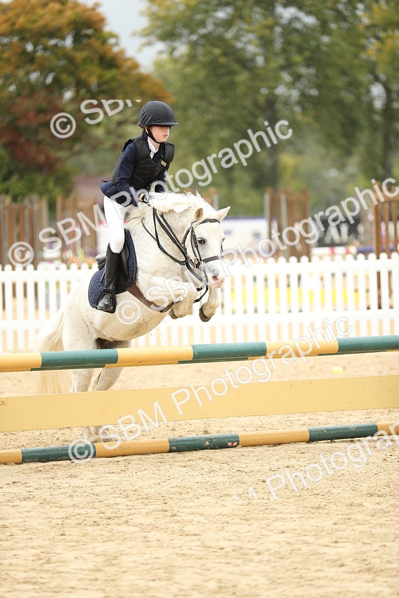 SBM_70273 - J15 - Junior Pony 70cm Championship