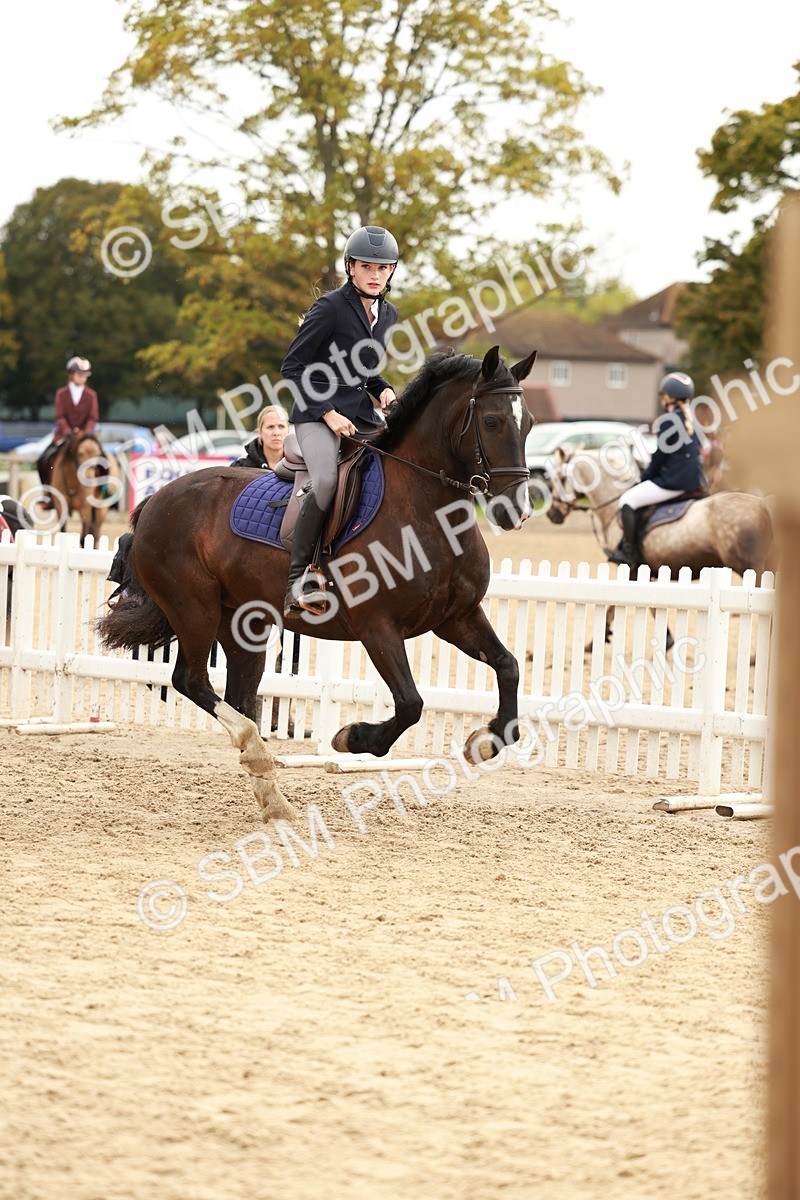 SBM_57816 - J11 - Junior Pony 50cm Championship