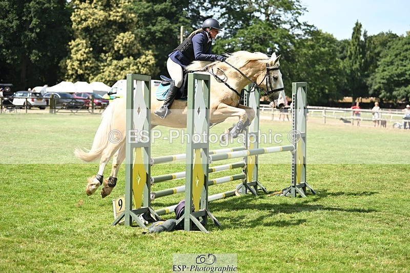 250704A-105737-07114 - Cls 25 Snr British Novice and 90cm