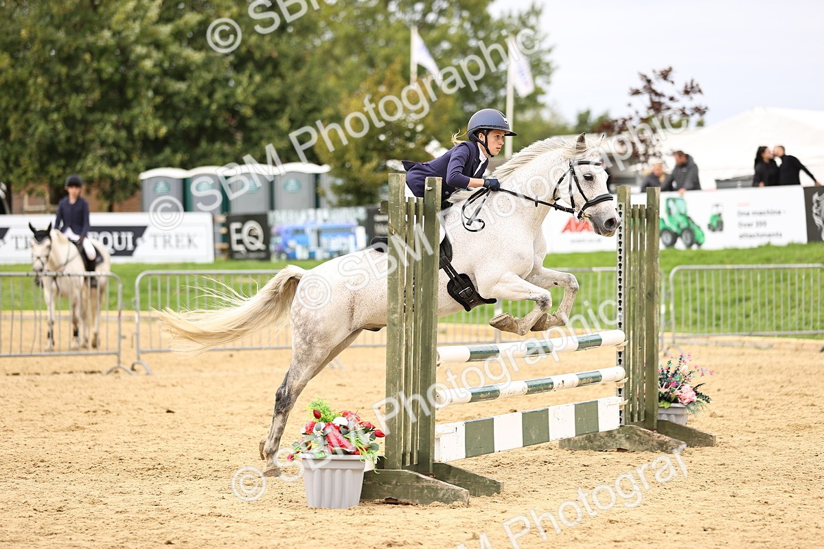 SBM_66609 - J17 - Junior Pony 80cm Championship