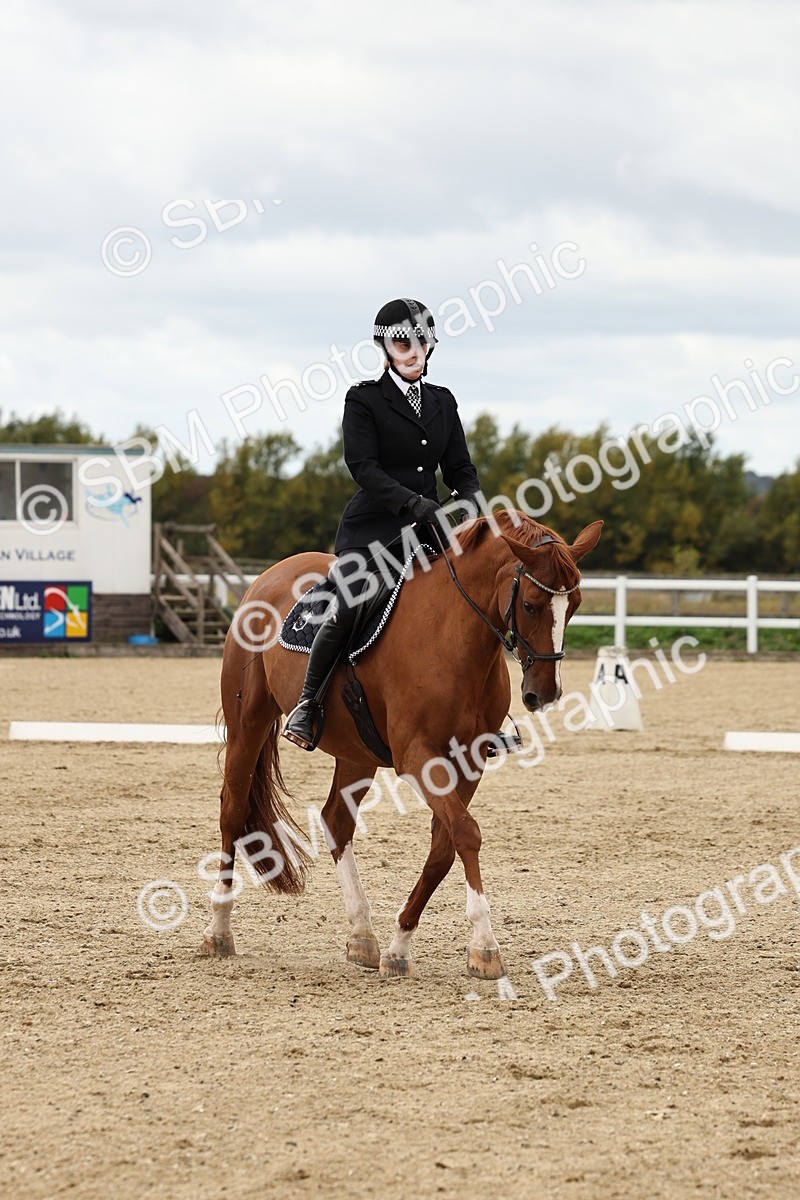 SBM_004566 - Class 69 - Novice 2