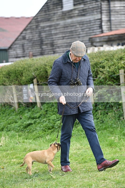 WJ5_0233 - Class 7 Best Terrier