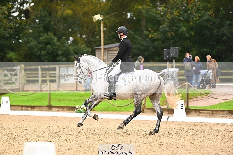 231021-122419-15135 - 348-KILMINGTON.FOLLY-Gubby.Leech-DR