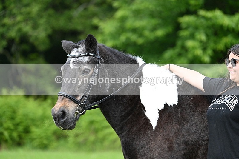 WJ7_1649 - Class 11 Condition & Turnout