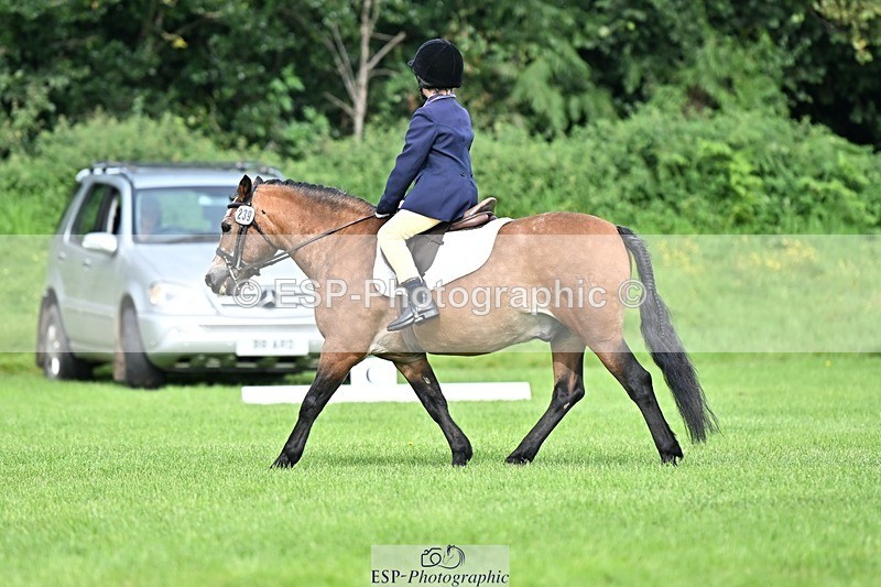 230826-103251-16568 - Sections A & B 10 to End