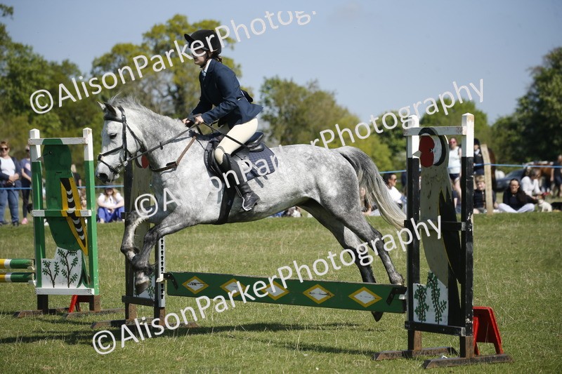 20250427-2173 - Class 13 - Novice Jumping 60cm