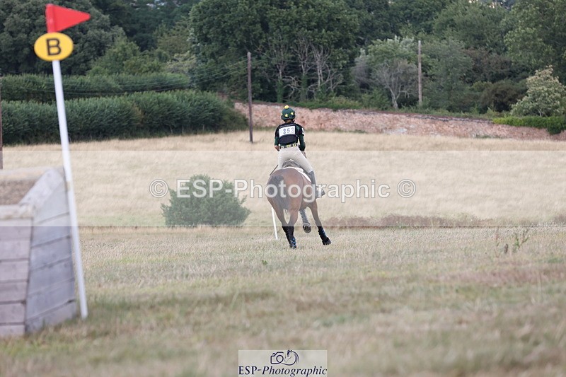 250802A-175903-08648 - H-353-Nancy.Wilson.Connell-BLUESTONE.BUTTERFLY