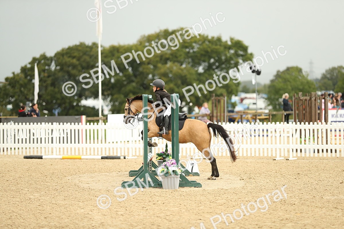 SBM_34270 - J60 Clear Round 50cm