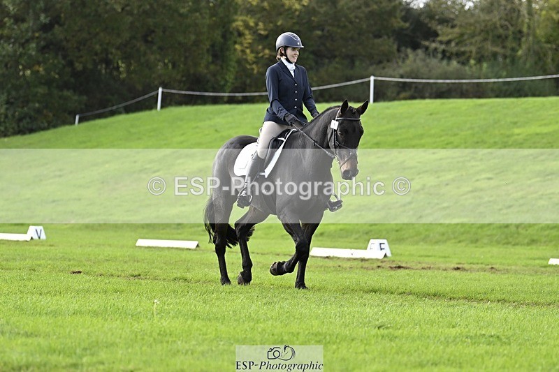 241025-121750-07062 - 376-Rachael.Hardman-WHIPPLETREE.HAILEYS.COMET