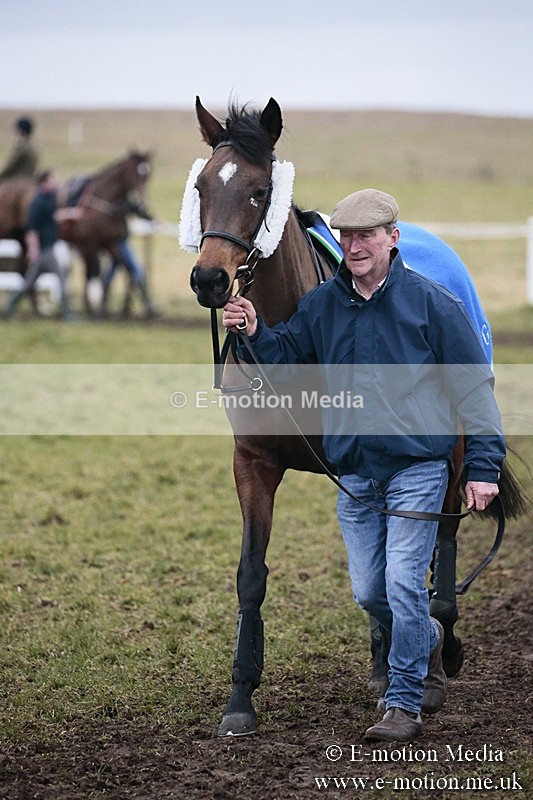 PtP 180218 676 - Combined Services Point-to-Point Larkhill 18/02/18
