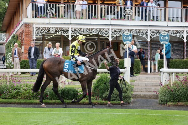 yr22072022r2-10 - Race 2 5.50pm eventmasters.co.uk Stakes