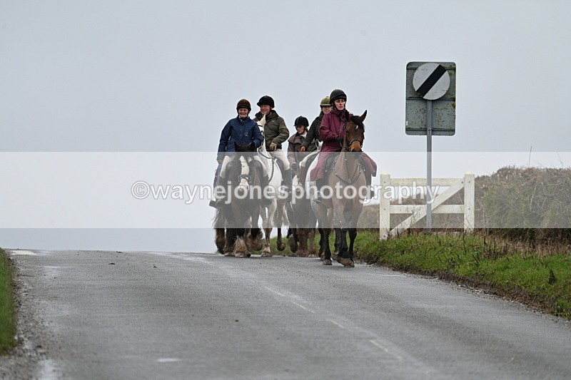 WJ7_8848 - Berks & Bucks - Rowles Farm 15-02-26