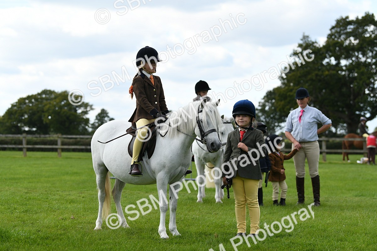 SBM_46769 - S12 - Family Horse & Pony