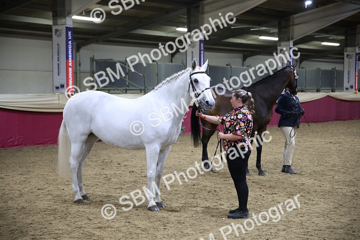 SBM_18830 - Class E IH Horse Champ