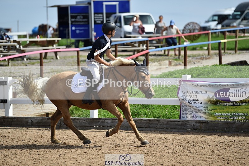 230903A-120510-04368 - Cls 19 Pony Discovery & 90cm Open