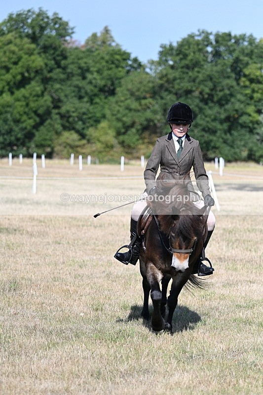 WJ7_2933 - Class 8 Ridden Tack & Turnout
