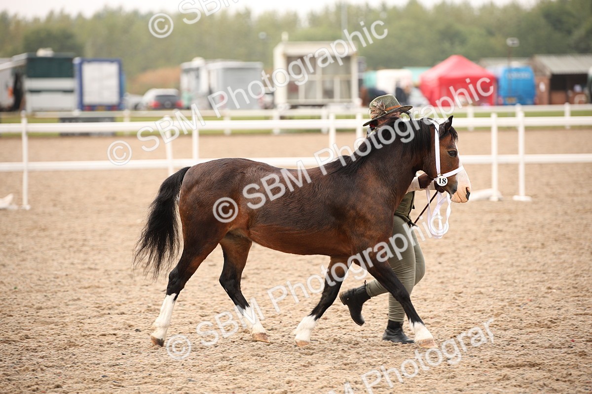 SBM_21443 - Class 706 - IH  Veteran