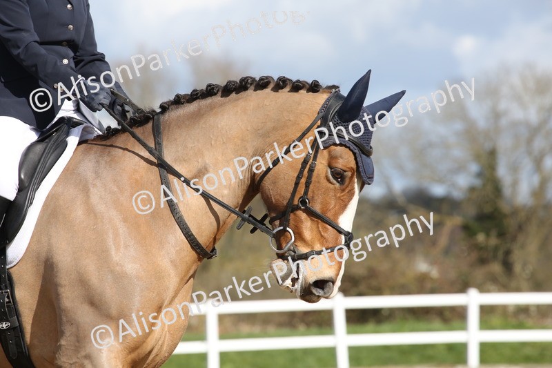 20260314-3963 - CT4 - Novice 1