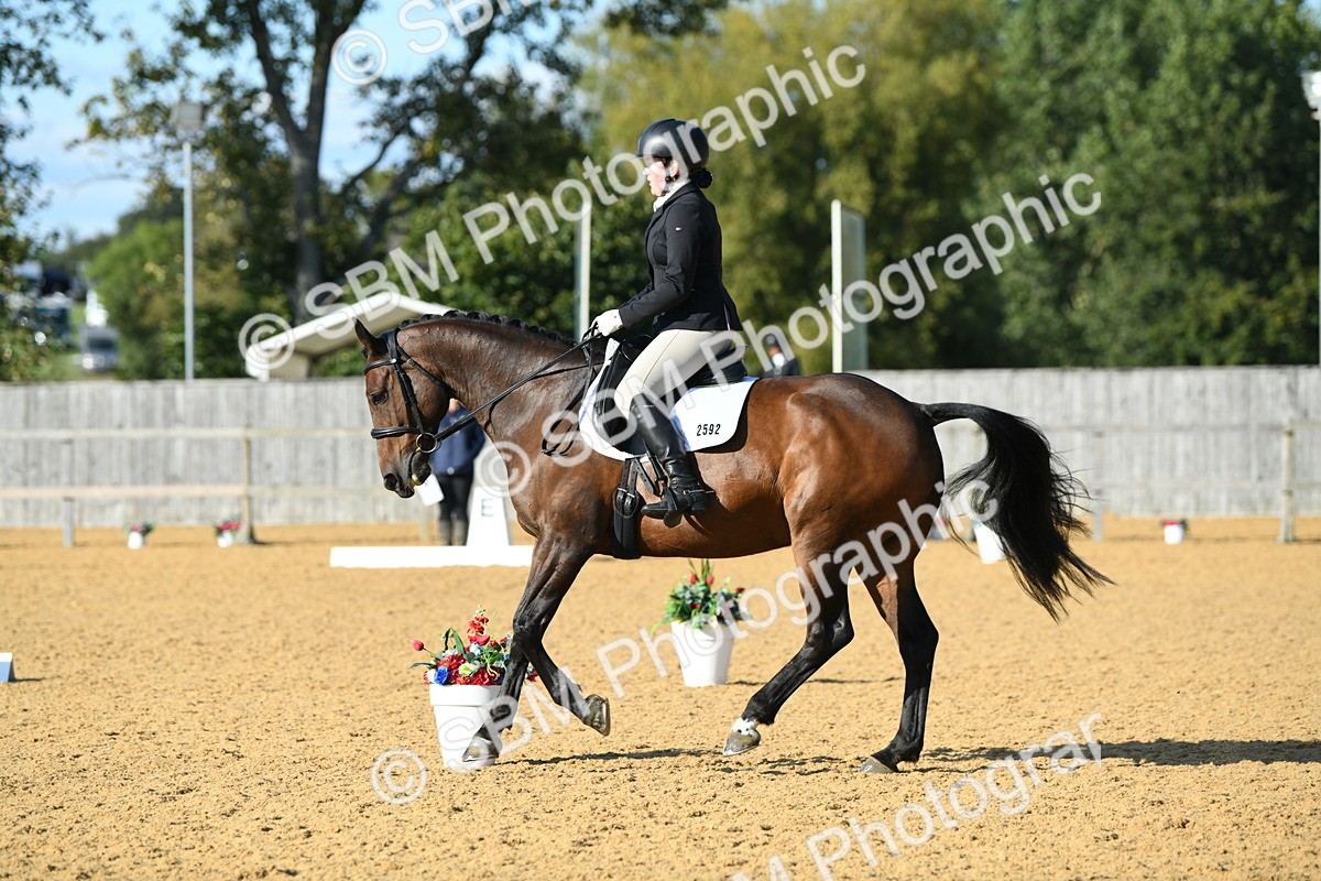 SBM_28421 - D16 - Small Tour Championship - Novice 28