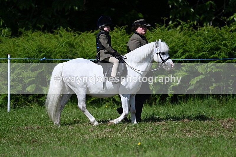WJ7_0754 - Class 8 First Rally Pony