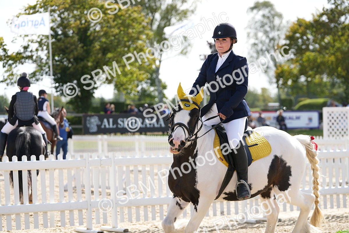 SBM_16918 - J58 - Clear Round 50cm