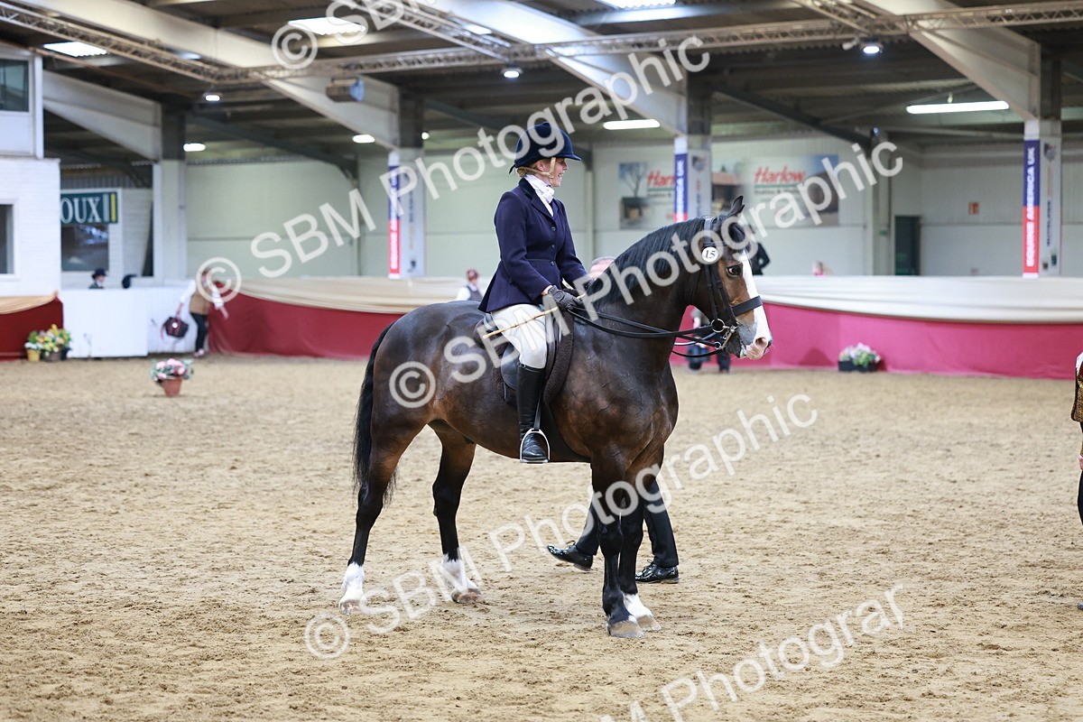 SBM_18606 - Class 952 - M&M Ridden Supreme Final