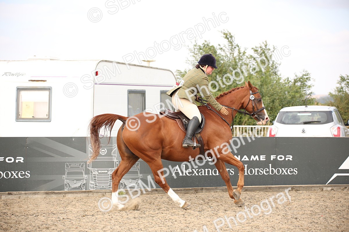 SBM_17331 - Class 410a - Wor5king Veteran 90cm (15-19)