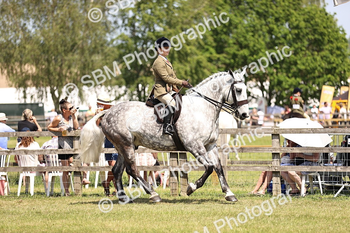 SBM_16094 - Class 79-80 - LIHS BSHA Rising Star Ridden Hunter