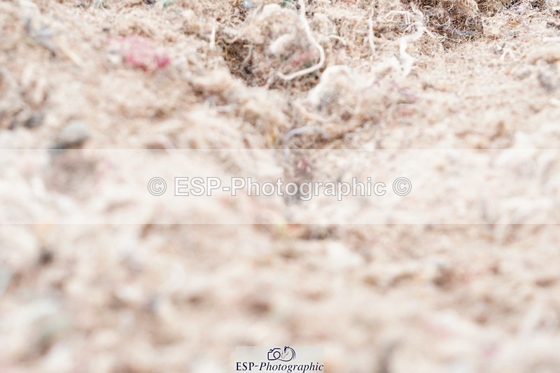 250622-133858-16025 - Cls 60 Freestyle PSG-Young Rider Inc Presentations