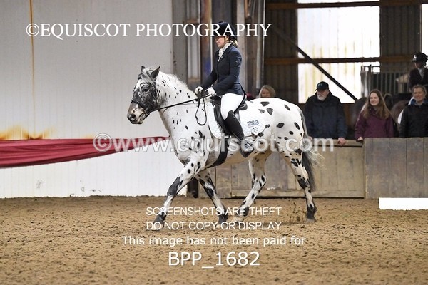 BPP_1682 - PC NOVICE DRESSAGE