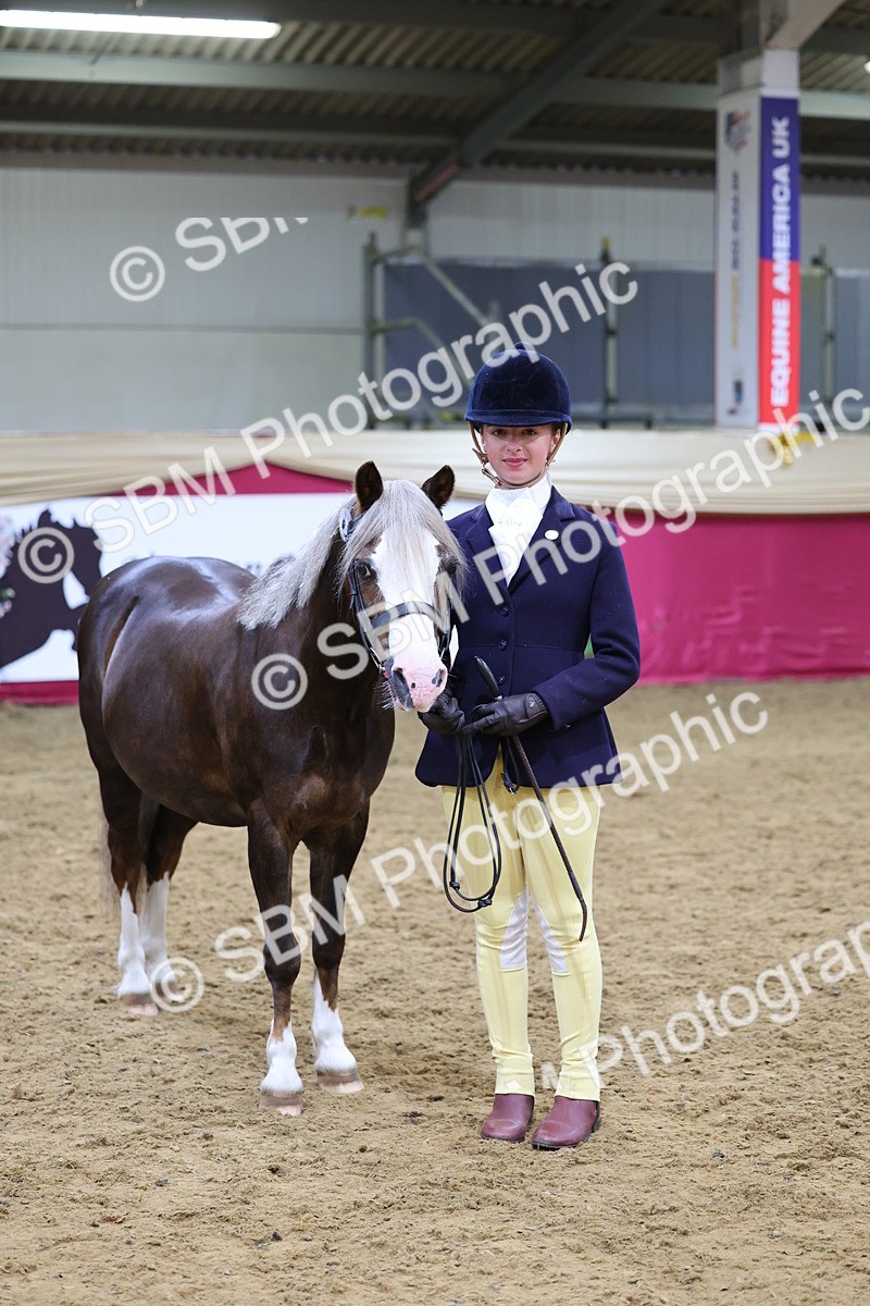 SBM_19498 - Class 901 - Supreme Final - IH Diamond