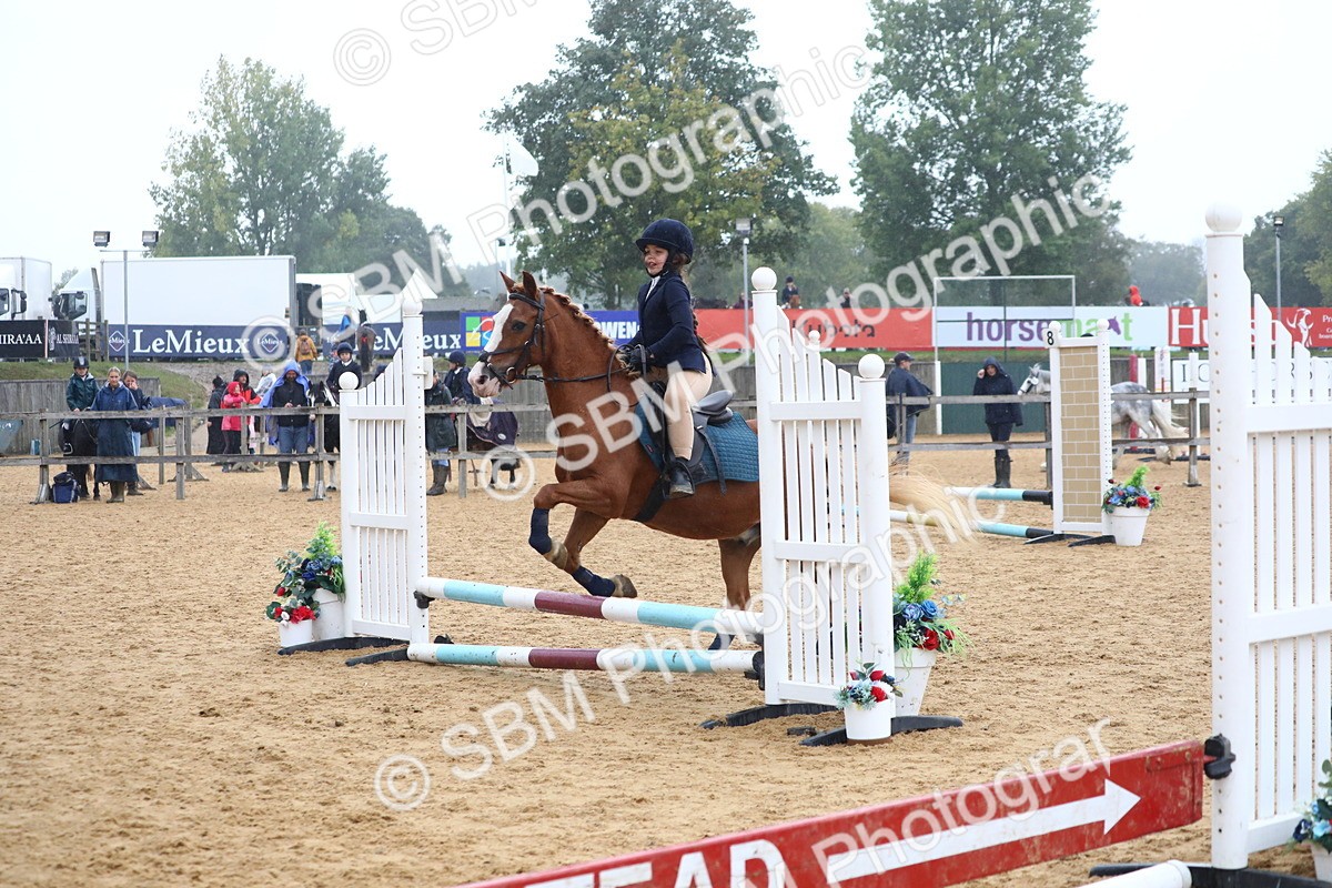 SBM_71660 - J4 - Mini Tour Junior Pony 45cm Championship