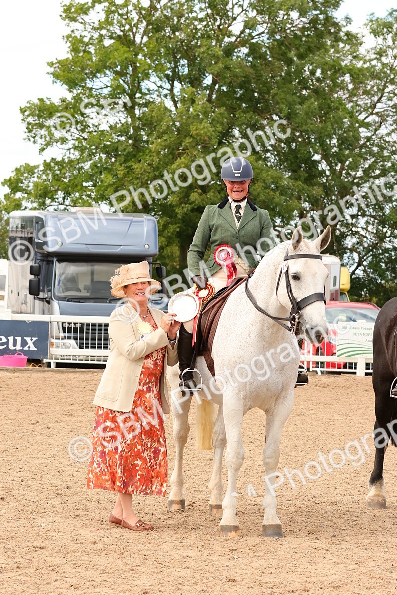 SBM_15581 - Class 214 - Ridden Show Cob